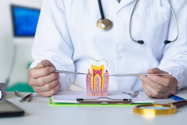 Best Emergency Root Canal Treatment in Falls City, OR